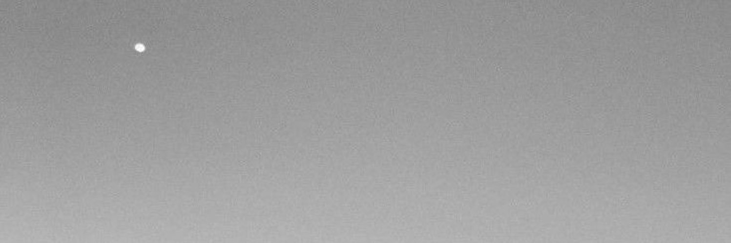 Arrigo banner