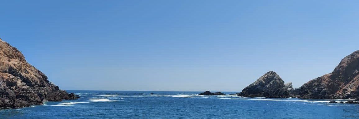 Berabuco's profile banner image