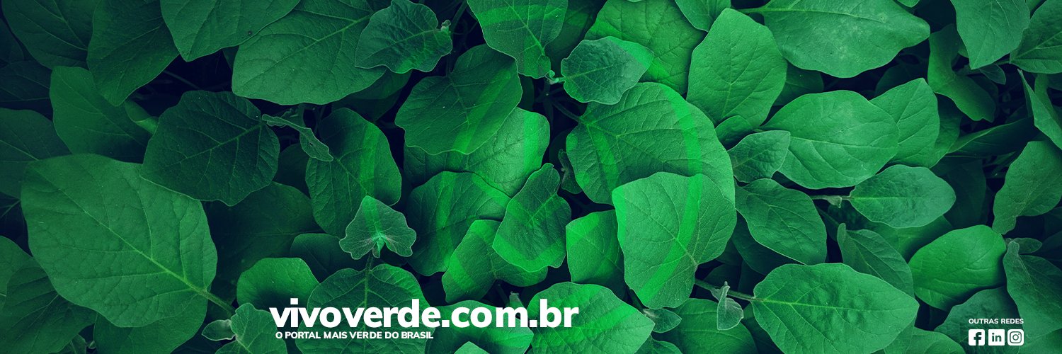 🌎 Portal VivoVerde🌱 banner
