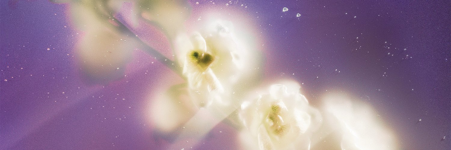 CassFreshUSA's profile banner image