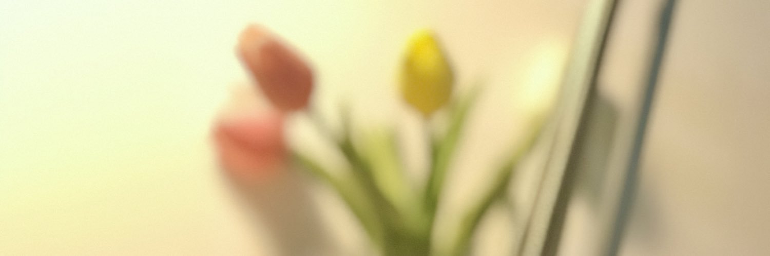 nashihau's profile banner image