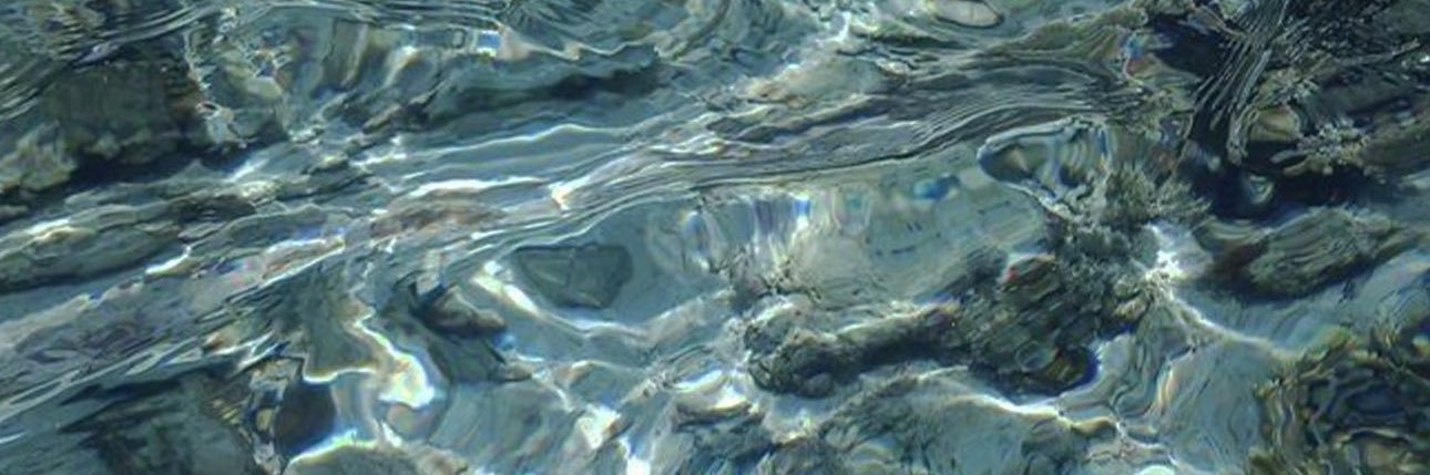 Flirty Veteran Driver 🔥 banner