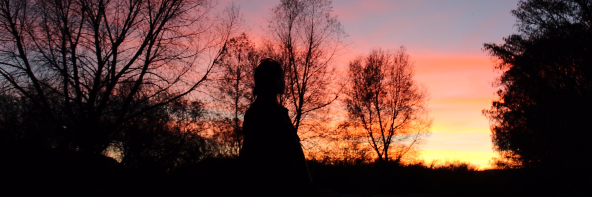 sofiatc12's profile banner image
