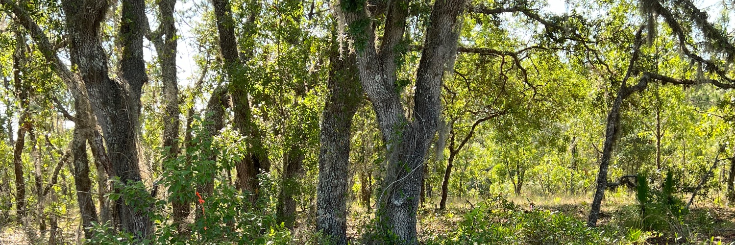 Swamp Defender banner