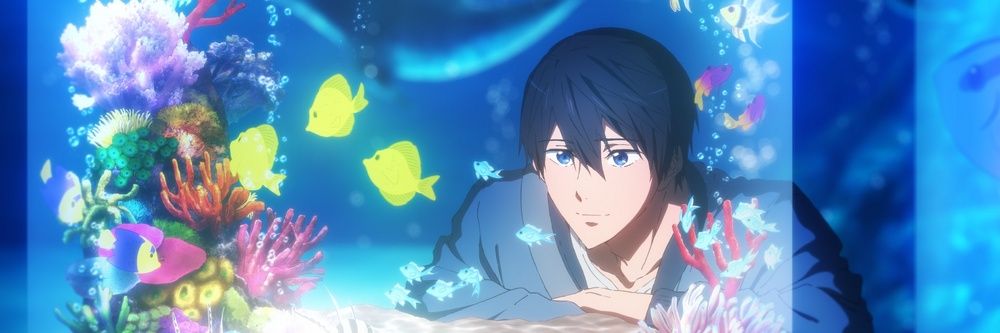 ⭐ sat 🐬🐚🐙🐠🦀 banner