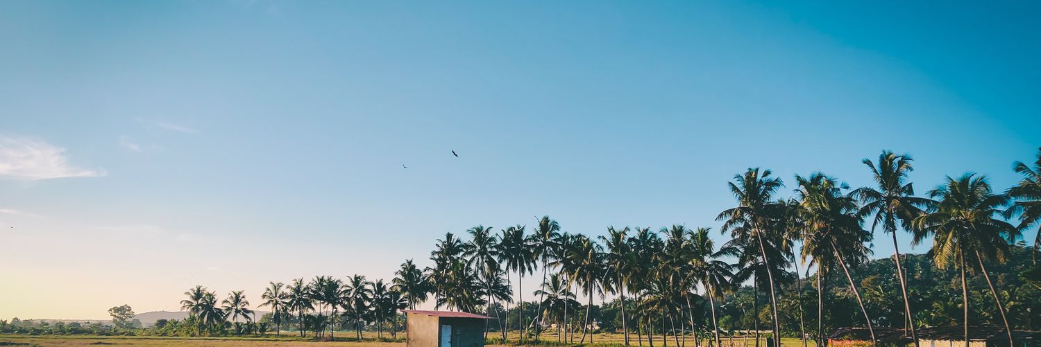 Rossi_Fernandes's profile banner image