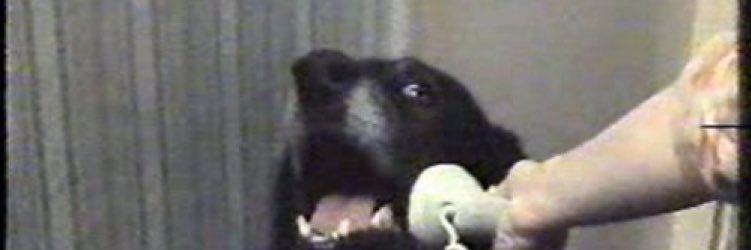 jayarebee's profile banner image