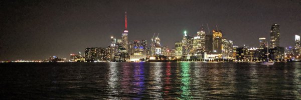 vesta0 Profile Banner