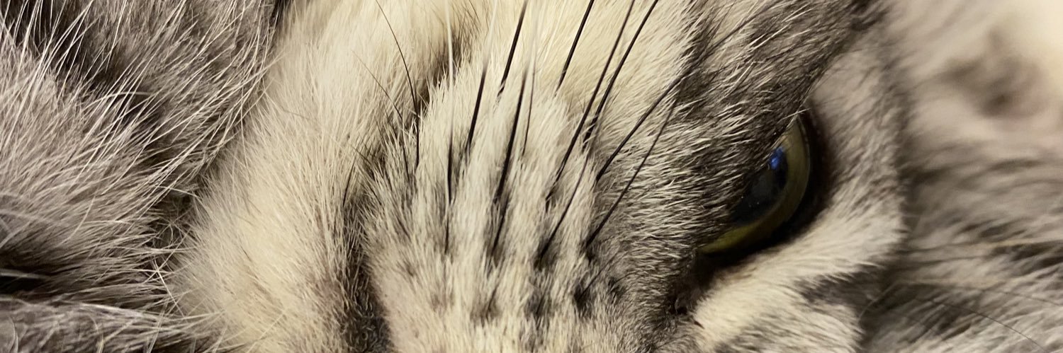 ronkbj6's profile banner image