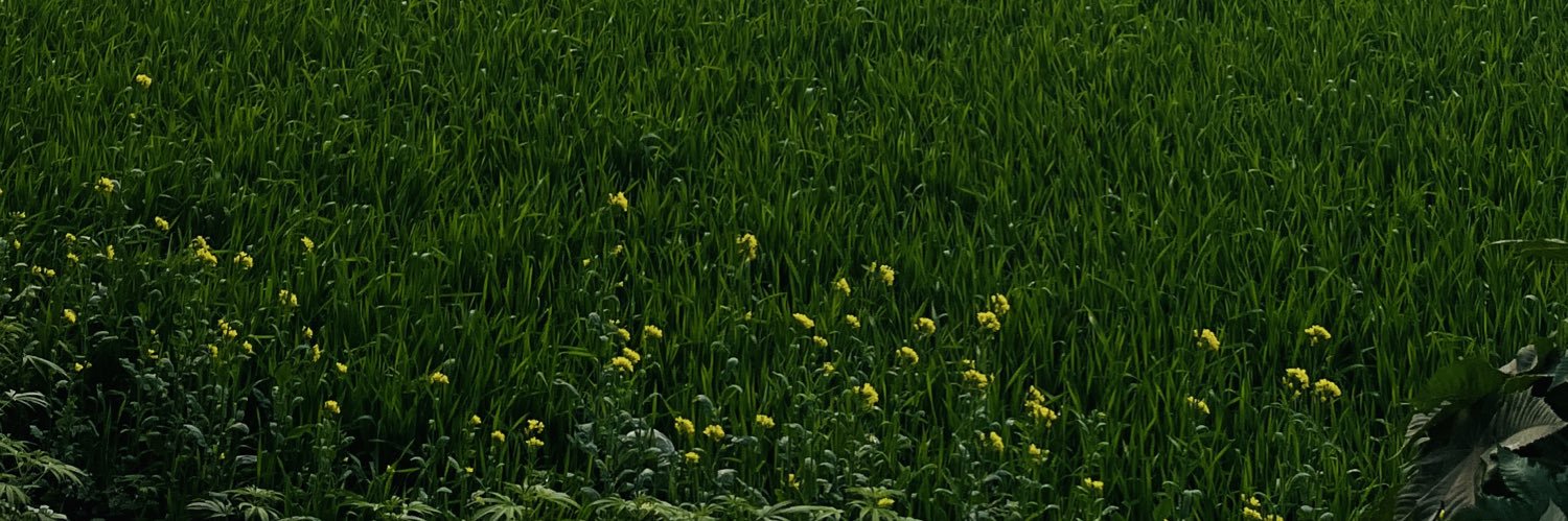 payal_arjun08's profile banner image