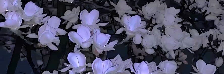 堃 banner