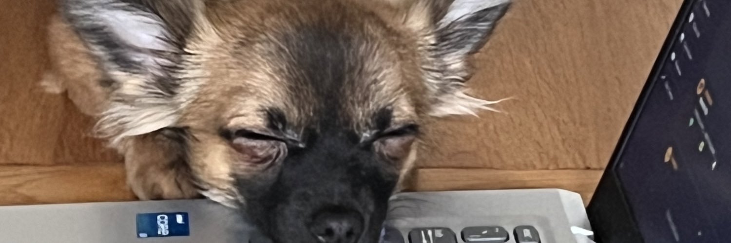 TurnerLeescott's profile banner image