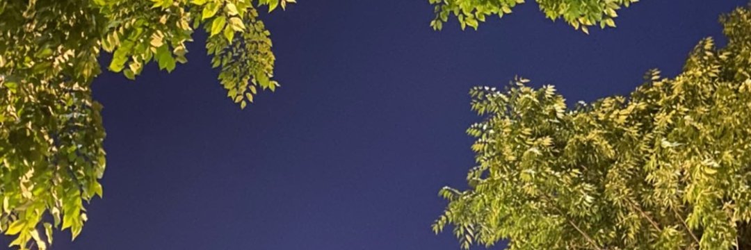 dreammirror66's profile banner image