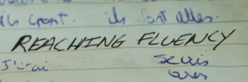 Reaching Fluency (Ian) banner