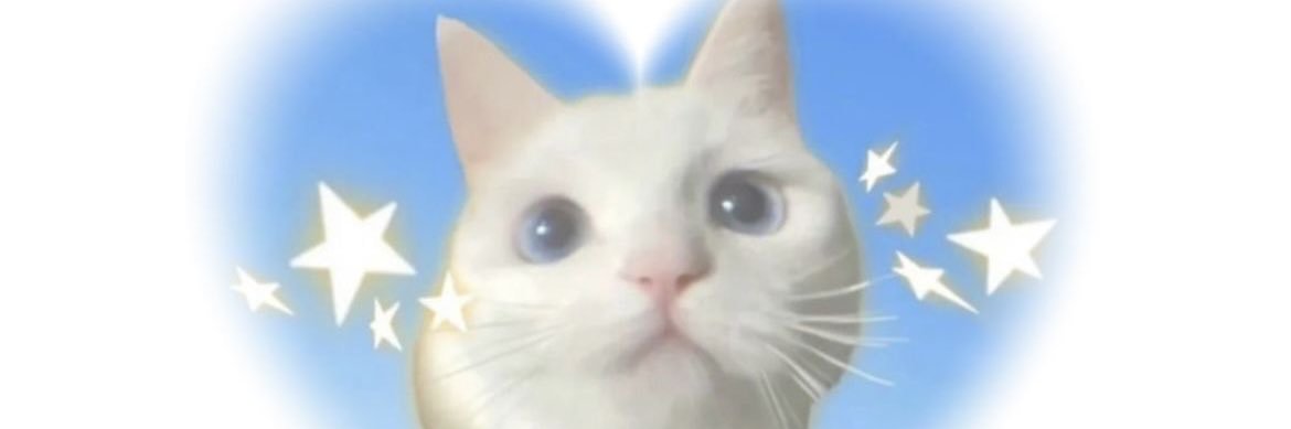 pomypomypom's profile banner image