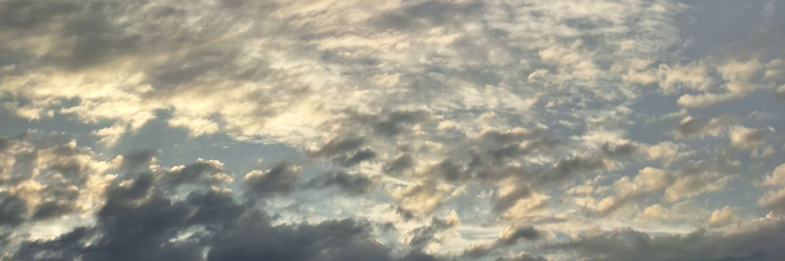 yaseumint's profile banner image