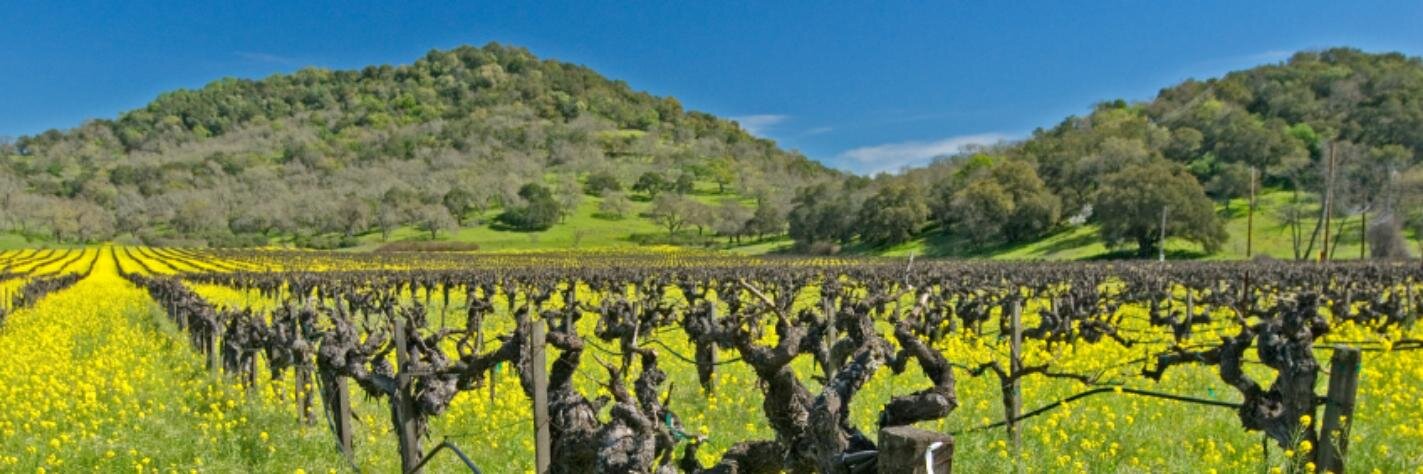 RateWinedotCom's profile banner image