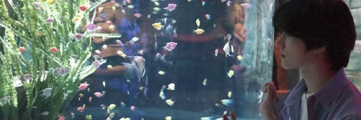 7th year: asya 최 banner