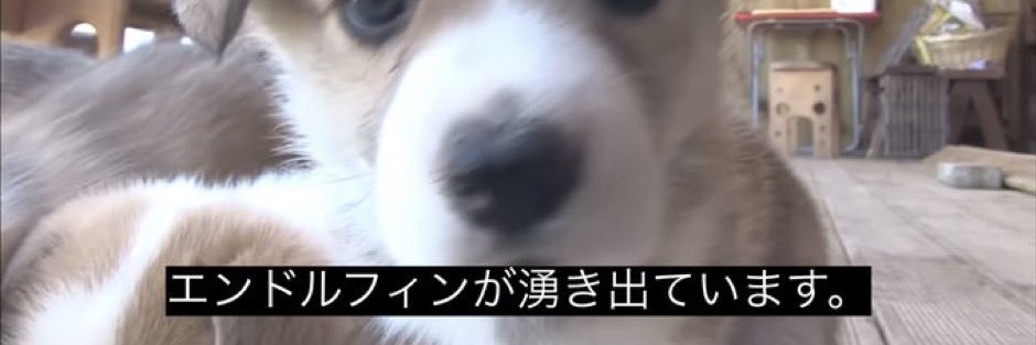 てあっと banner