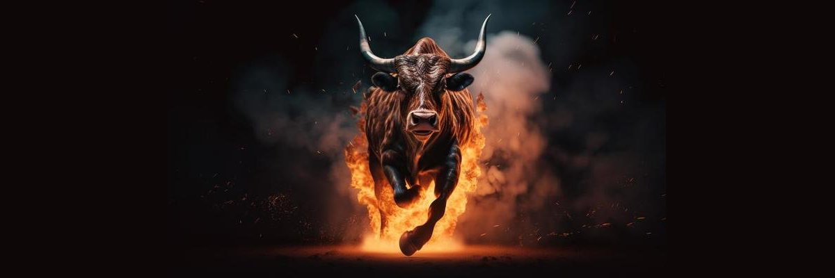 charty_marty's profile banner image