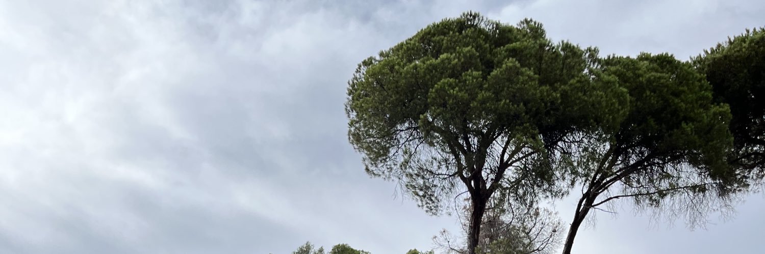FetGrisso's profile banner image