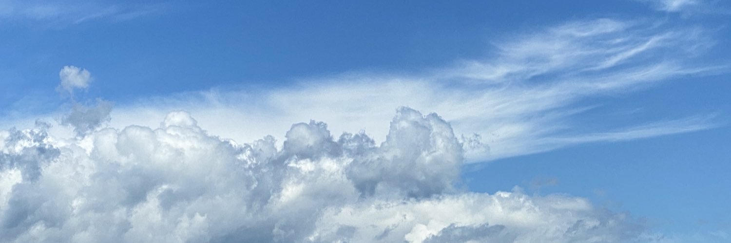 megreenapple55's profile banner image