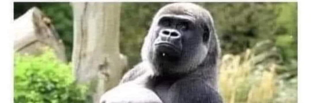 thug of uyo 🦍 banner