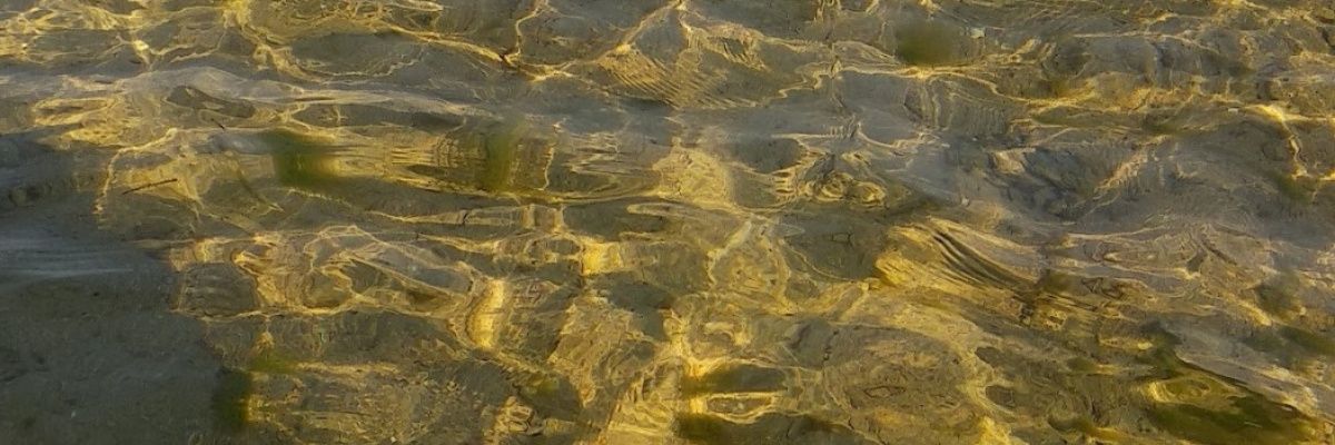 jojudes's profile banner image