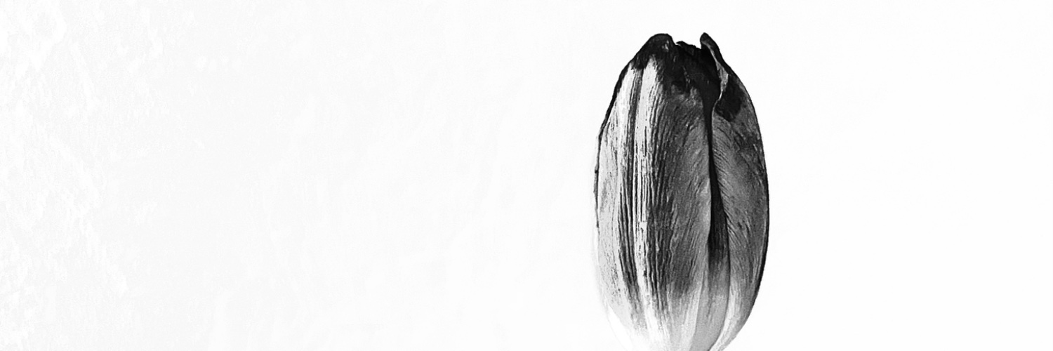 Silvija banner