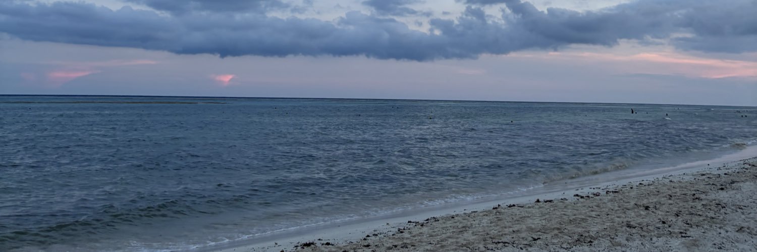 ⭑ Pau banner