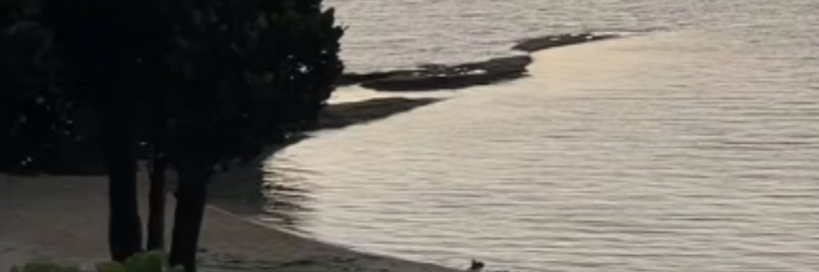 uka1226's profile banner image