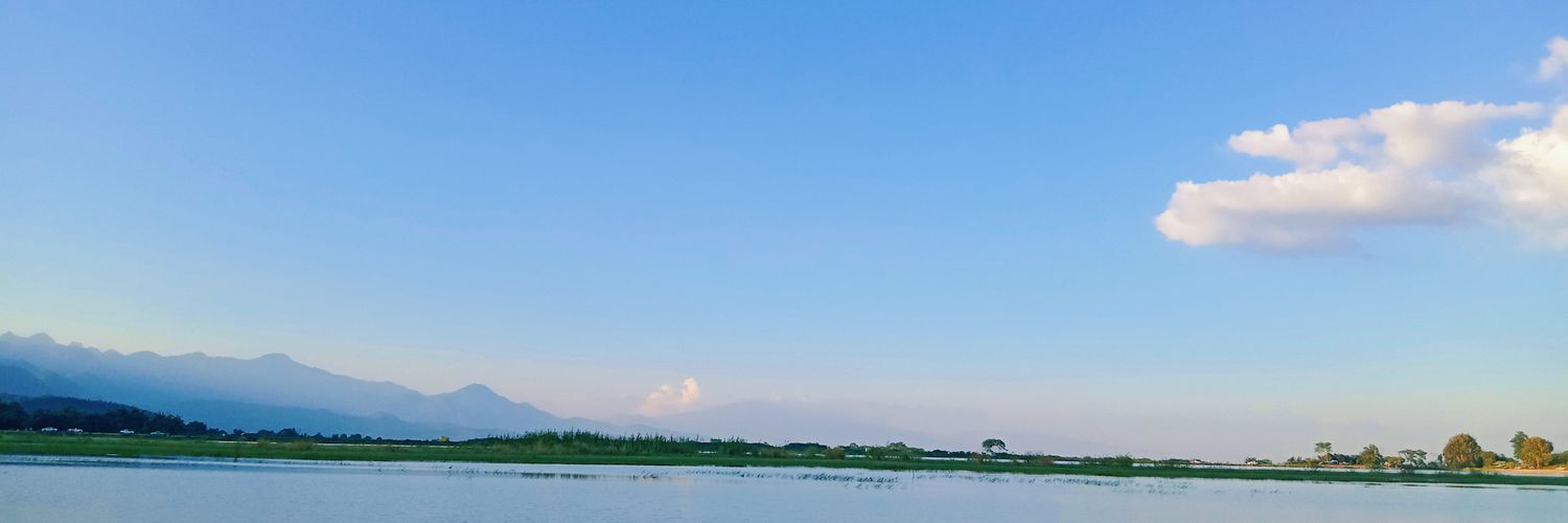 A.my.💚🌻🐺 banner