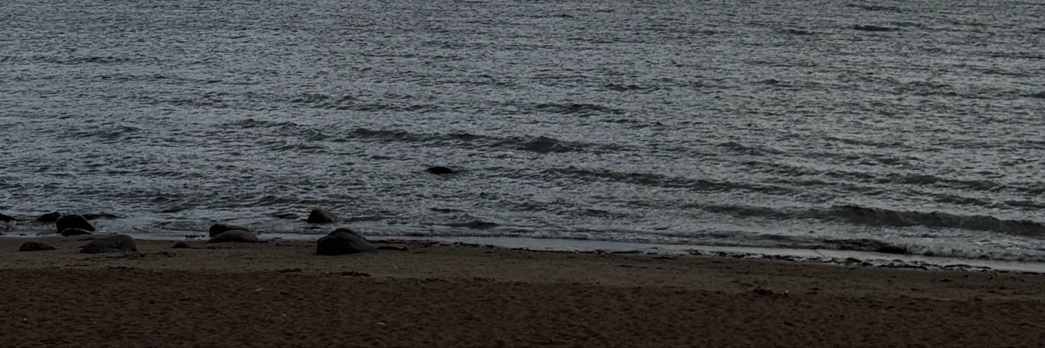 lenwgx's profile banner image