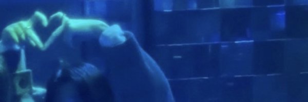 blueblueblue557 Profile Banner