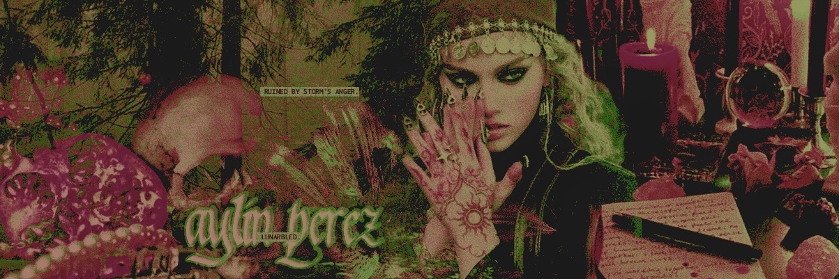 ‍ ‍ ☽⋆ 𝓁𝑜𝓋𝑒𝓁𝓎𝗲𝘆𝗲𝗱. ‍ banner