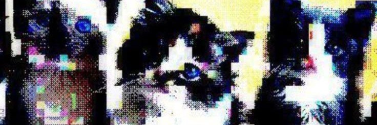 lyz9393's profile banner image