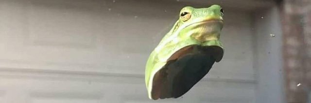 bforbingo's profile banner image