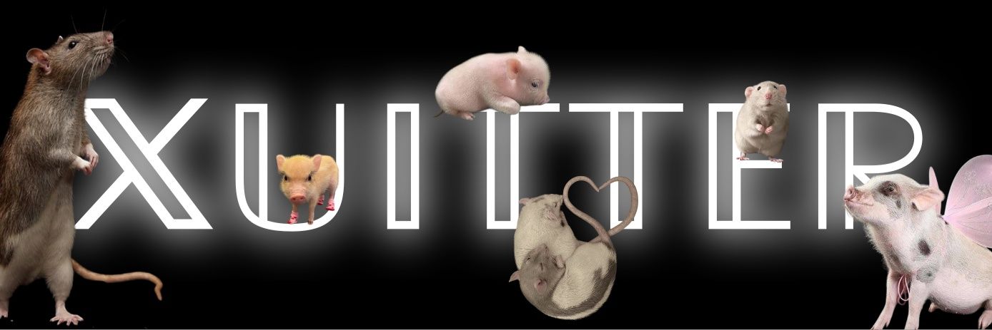 🐷Свино-Пацючара🐀's banner
