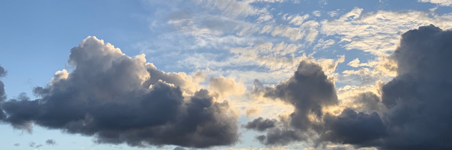 onlyhazelthings's profile banner image
