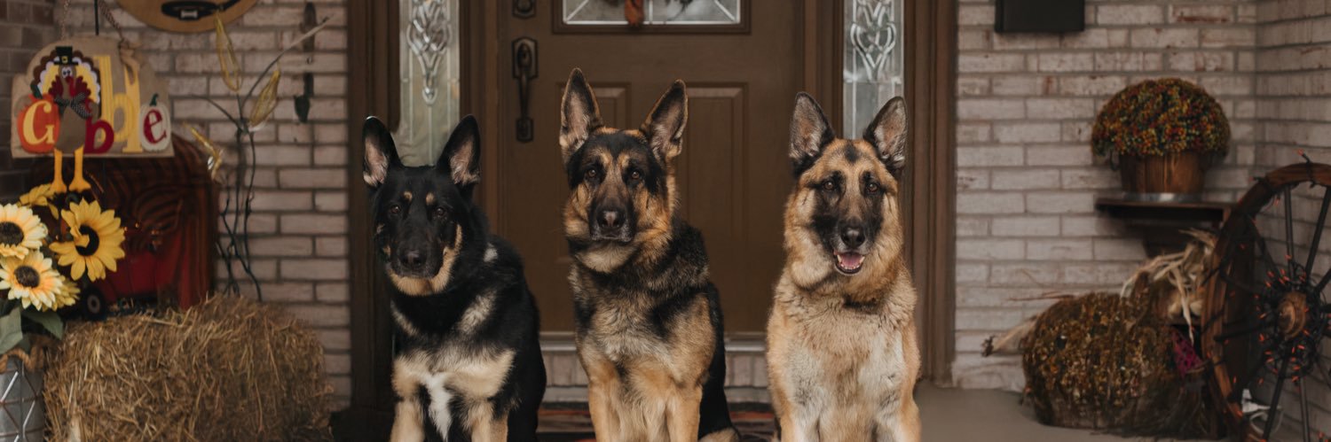 taylorrrx3's profile banner image