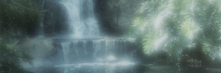jiiapark's profile banner image