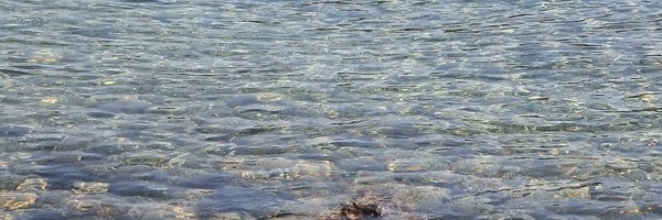 qazwsx89083 Profile Banner