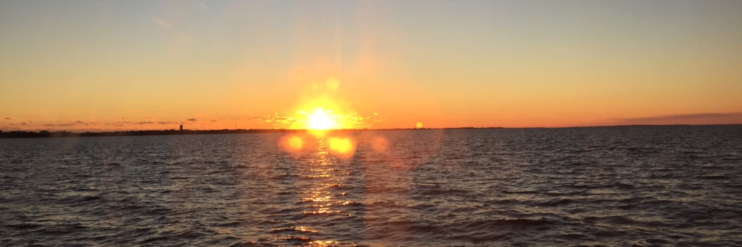 Anne DiGiovanna banner