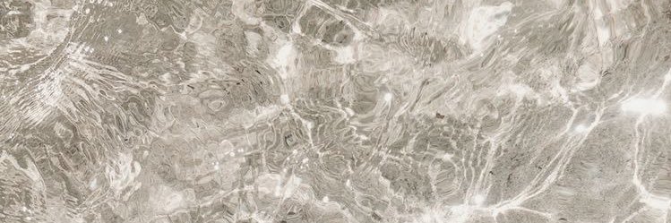 Megan_Stevenson's profile banner image