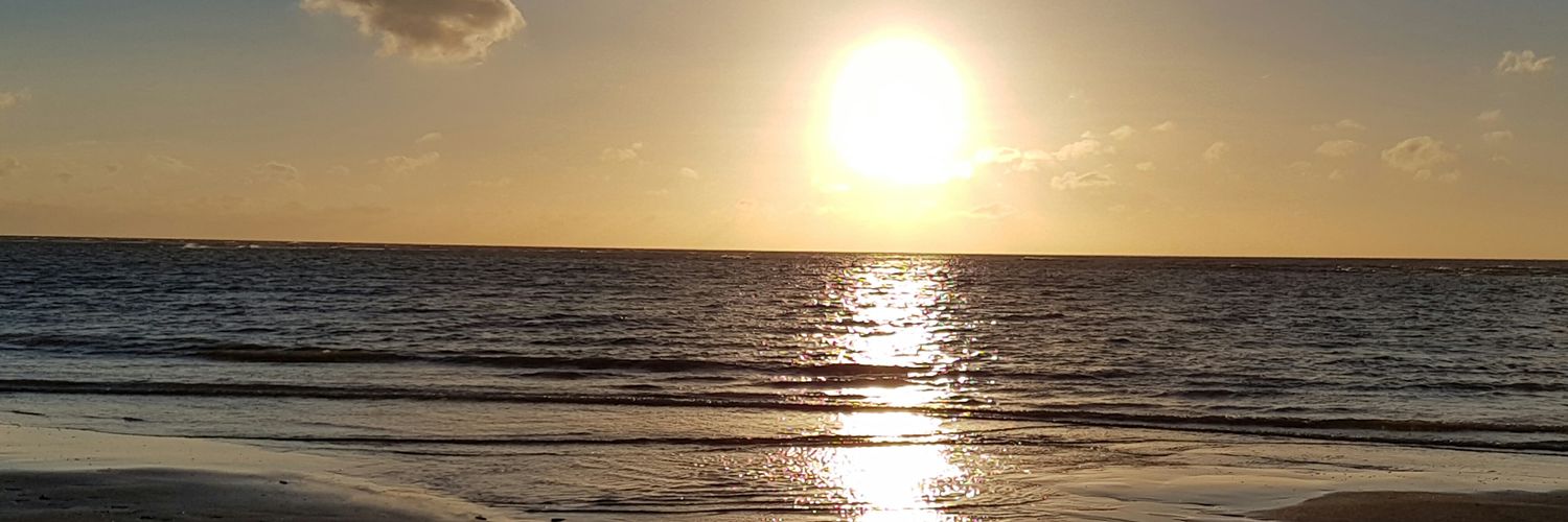 DirkHellemans's profile banner image