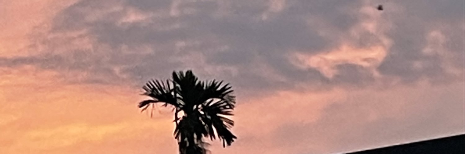 ttananmm's profile banner image