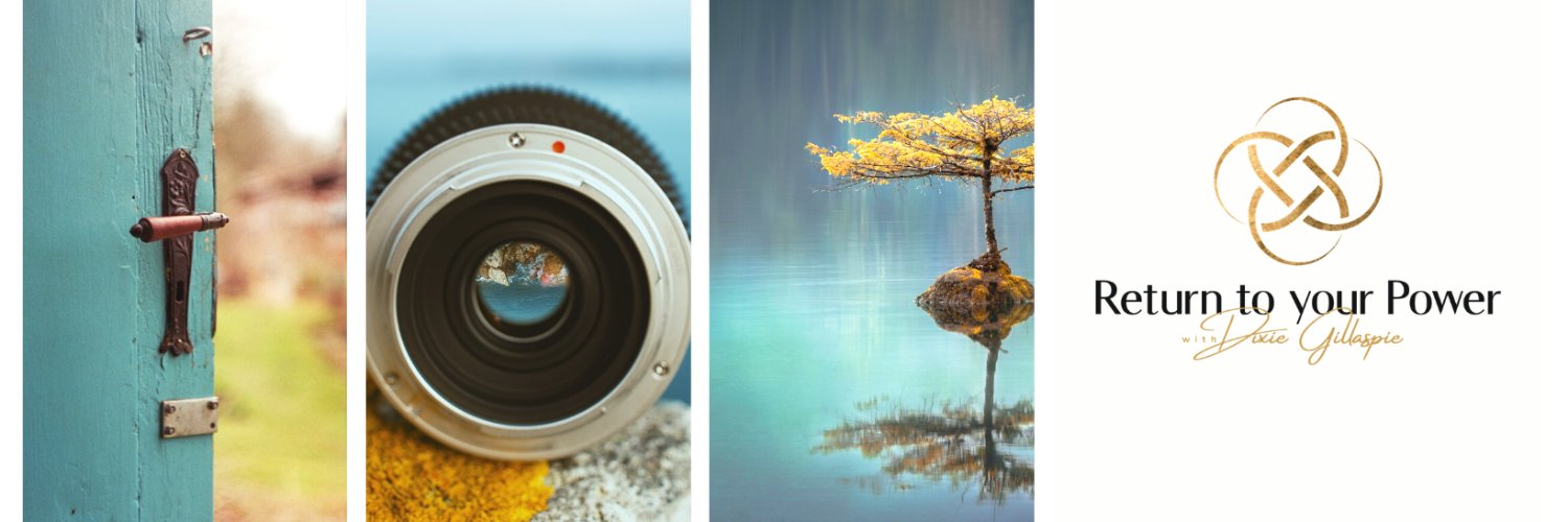 Dixie Gillaspie banner