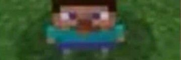 🦎 banner