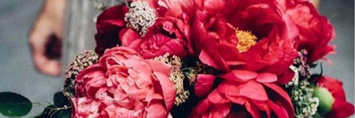taylormck07's profile banner image