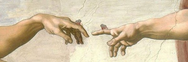 ElWiwiSol Profile Banner